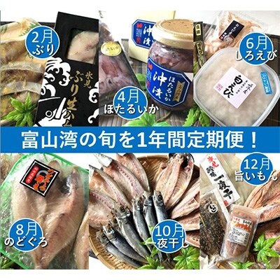 2022年2月発送開始『定期便』富山湾の幸を旬に1年間定期便!氷見ぶり・白えび・ほたるいか 全6回