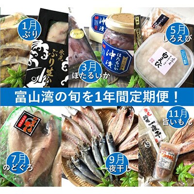2023年1月発送開始『定期便』富山湾の幸を旬に1年間定期便!氷見ぶり・白えび・ほたるいか全6回