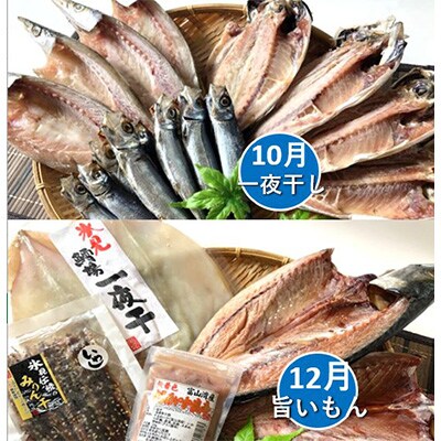 2023年2月発送開始『定期便』富山湾の幸を旬に1年間定期便!氷見ぶり・白えび・ほたるいか全6回