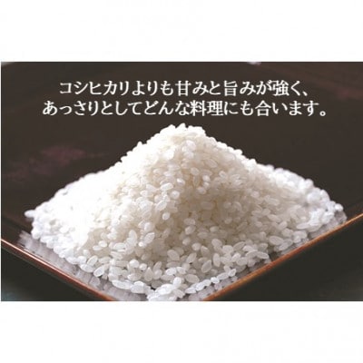 令和7年産 富山県産 富富富 精米 4kg(2kg×2袋)精米 ブランド米