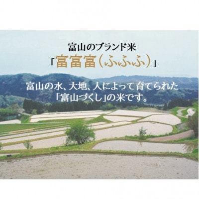 令和7年産 富山県産 富富富 精米 10kg ブランド米