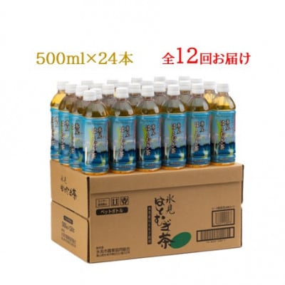 【毎月定期便】氷見はとむぎ茶 ペットボトル 500ml × 24本全12回
