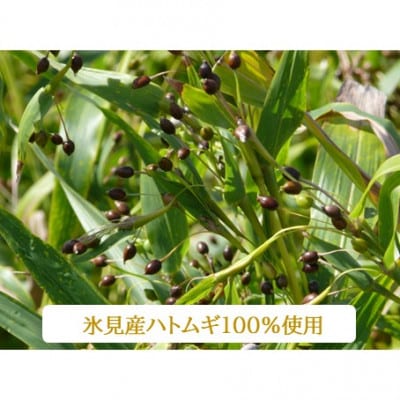 【毎月定期便】氷見はとむぎ茶　ペットボトル350ml×24本全6回