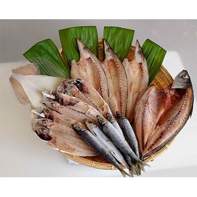 【無添加】氷見産地魚の一夜干5種セット