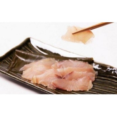 氷見堀与昆布じめ刺身4種と生ほたるいか