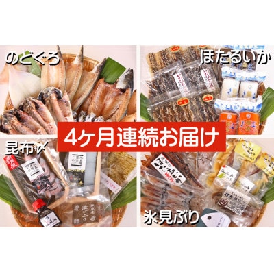 【毎月定期便】氷見堀与 一夜干・昆布〆刺身・海の幸詰合＜氷見ぶり・蛍いか・のどぐろ入＞全4回