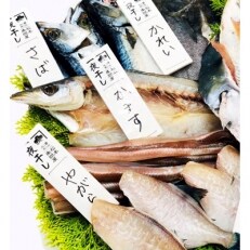 魚問屋厳選　一夜干し詰合と極み出汁セット