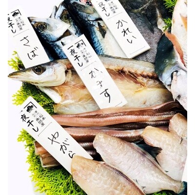 魚問屋厳選 一夜干し詰合と極み出汁セット お礼品詳細 ふるさと納税なら さとふる