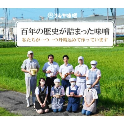 【2ヵ月毎定期便】越中・氷見 米麹味噌 500g×3個全3回