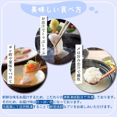 【お試しサイズ!】氷見天然ブリしゃぶしゃぶ用150g〈冷凍〉