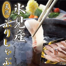 氷見天然ブリしゃぶしゃぶ用300g〈冷凍〉 | ふるさと納税のお礼品
