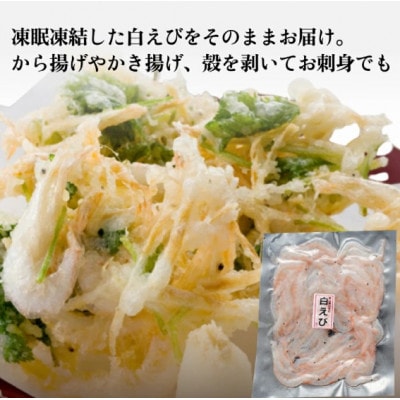 富山湾の宝石 白エビ3種(殻付き・刺身・昆布〆)〈冷凍〉