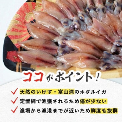 鮮度そのまま!富山湾の神秘ホタルイカ しゃぶしゃぶ用 200g 〈冷凍〉