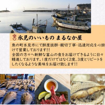 氷見産厳選一夜干し旬の詰合せ