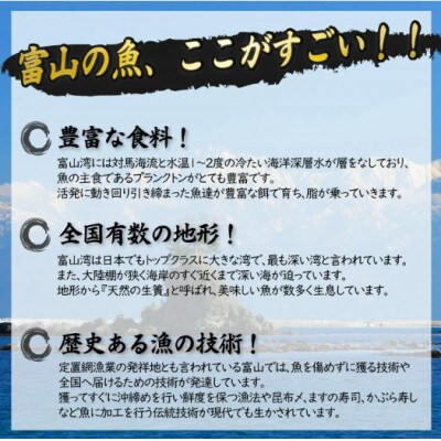 氷見産厳選一夜干し旬の詰合せ