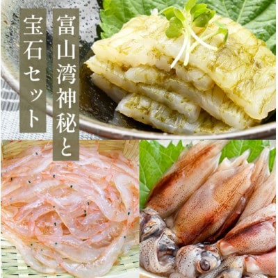富山湾の神秘 ほたるいか と富山湾の宝石 白エビ セット 【冷凍】