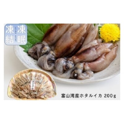 富山湾の神秘 ほたるいか と富山湾の宝石 白エビ セット 【冷凍】