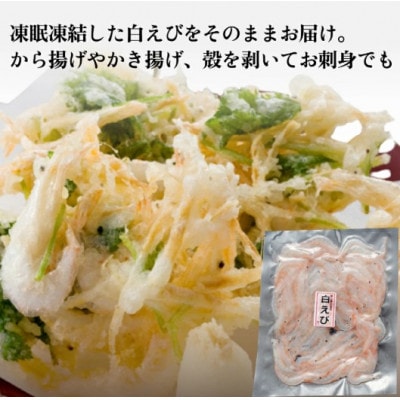 富山湾の神秘 ほたるいか と富山湾の宝石 白エビ セット 【冷凍】
