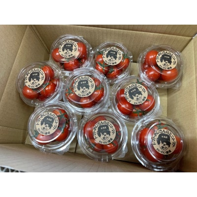 氷見産　トマトおじさんの完熟ミニトマト　150g×9パック