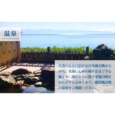 氷見温泉郷 なだうら温泉 元湯 磯波風 宿泊補助券 4万円分