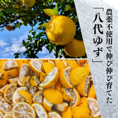 北陸の柚子とみかんを使った「氷見のポン酢2本入りギフトセット」