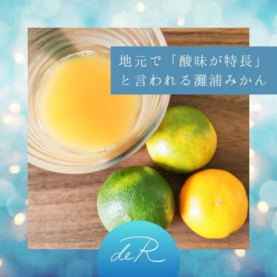 すっきりした味わいの灘浦みかん果汁100%飲料 10本セット