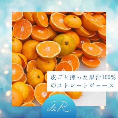 すっきりした味わいの灘浦みかん果汁100%飲料 10本セット