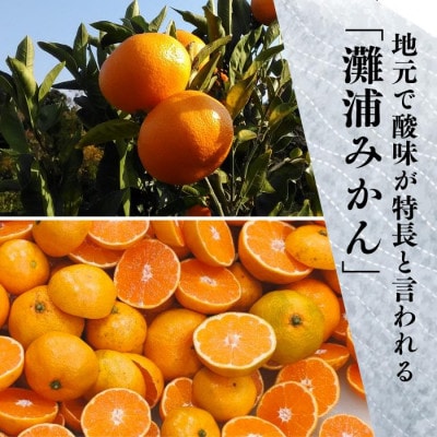 氷見のポン酢　灘浦みかん　120mL