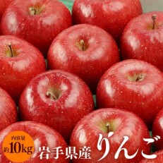 ふじむら農園のりんご(サンふじ)約10kg | ふるさと納税のお礼品