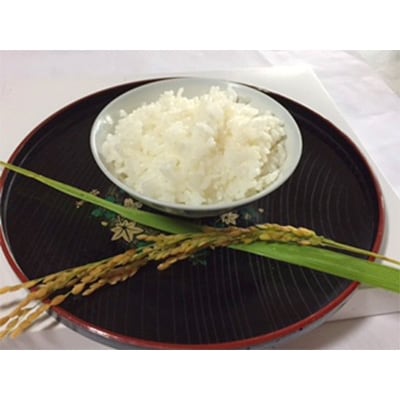 【令和2年産】岩手県矢巾町産 ひとめぼれ精米(8kg)
