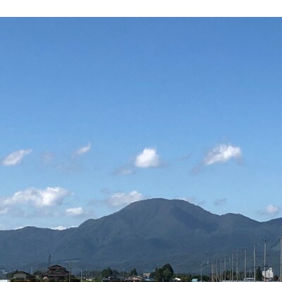 令和5年産ひとめぼれ5kg 精米
