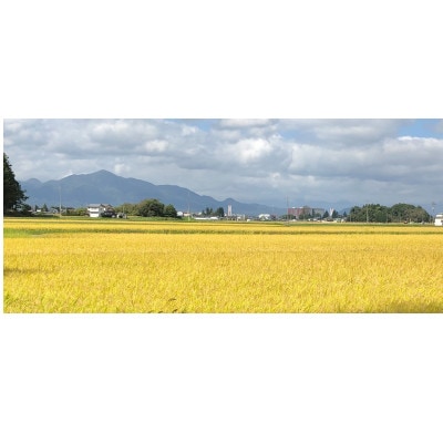 令和6年産ひとめぼれ精米 5kg