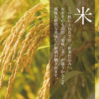 【本数限定&期間限定】令和四年新米仕込み純米大吟醸新酒<生原酒>1800ml×2本
