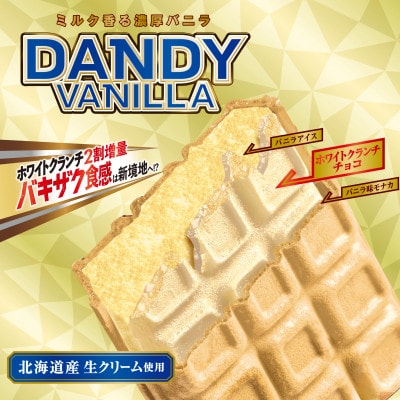 フタバ食品　アイス20個　ダンディーチョコレート&バニラセット　2種類各10個