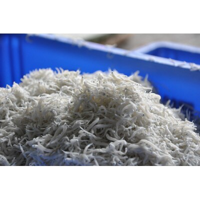 ふるさと特鮮釜揚げしらす 450g