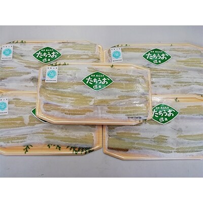 骨なし太刀魚干物 5パック 美浜町産 お礼品詳細 ふるさと納税なら さとふる