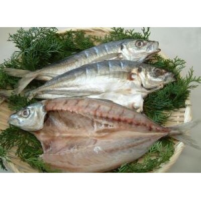 地元産　あじ干物　7尾