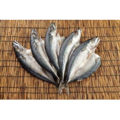 地元産 さば干物 5尾