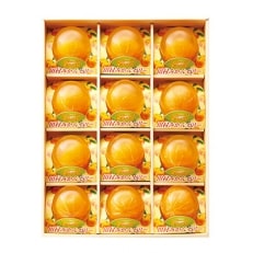 高級『田村みかん』を丸ごと使用!フルーツ丸ごとゼリーセット