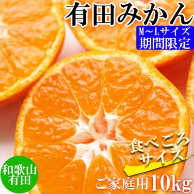 【ご家庭用】和歌山有田みかん約10kg(M、Lサイズ)【美浜町】