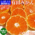 先行受付【ご家庭用】和歌山有田みかん5kg(S、Mサイズ)【美浜町】