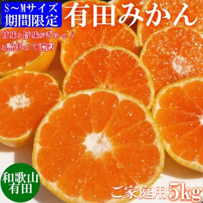 先行受付【ご家庭用】和歌山有田みかん5kg(S、Mサイズ)【美浜町】
