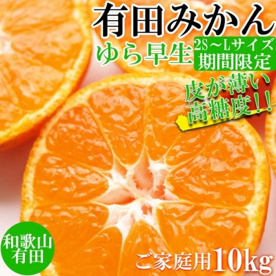 有田みかん 約10kg ご家庭用 和歌山 ゆら早生 極早生 (SS、S、M、Lサイズ)【美浜町】
