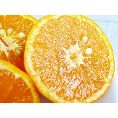 初夏のみかん『なつみ』約5kg