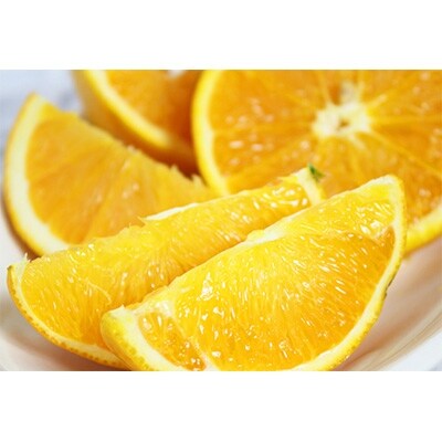 秀品 希少な国産バレンシアオレンジ 約5kg
