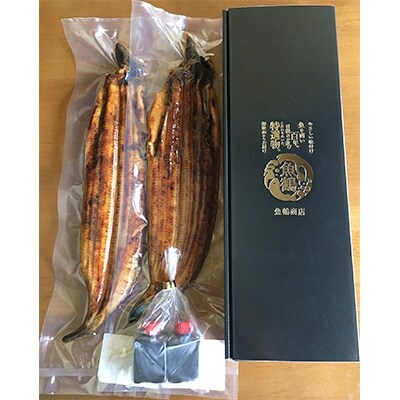 【2023年4月下旬発送】大型サイズ　ふっくら柔らか国産うなぎ蒲焼き　2尾