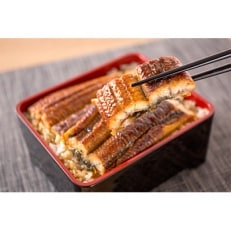 大型サイズ　ふっくら柔らか国産うなぎ蒲焼き　3尾