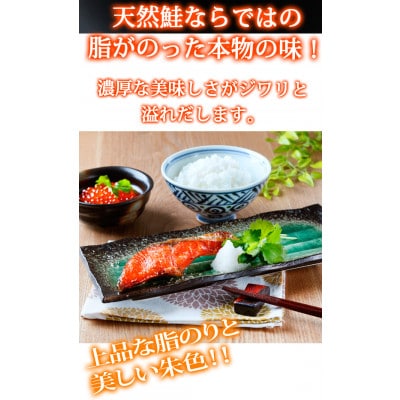 和歌山魚鶴仕込の天然紅サケ切身約1kg