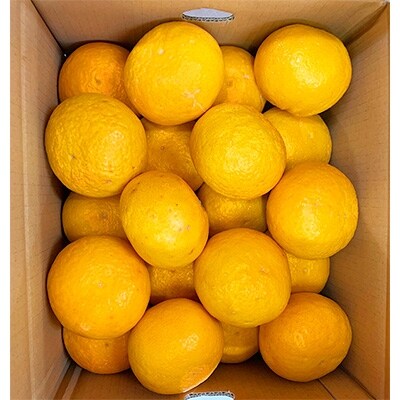 美浜町 紀州有田産 初夏の柑橘 甘夏みかん 約7kg お礼品詳細 ふるさと納税なら さとふる 美浜町 紀州有田産 初夏の柑橘 甘夏みかん 約7kg お礼品詳細 ふるさと納税なら さとふる