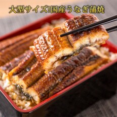 【美浜町】大型サイズ　ふっくら柔らか国産うなぎ蒲焼き1尾(約2人前)　化粧箱入